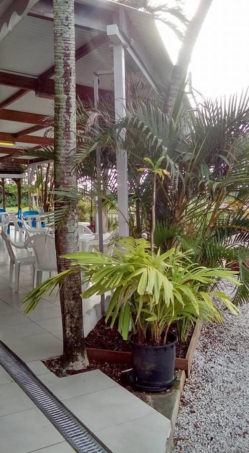 קאיין Hotel Des Amandiers מראה חיצוני תמונה